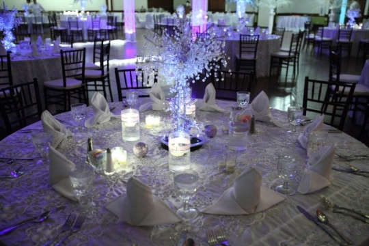 Crystals and Bling add Sparkle to a Winter Wedding